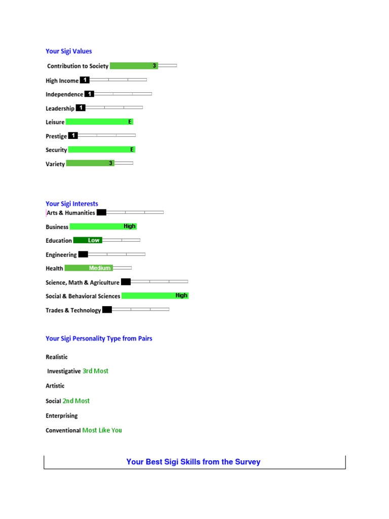 Sigi3 Values and Growth Insights | PDF | Career & Growth | Computers