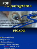 Hepatograma Felinos