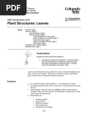 LEaves