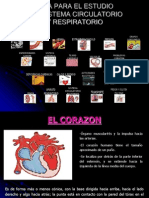 CORAZON Revisado y Arreglado