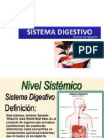 Sistema Digestivo2
