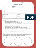 Lab Handout