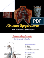 Sistema Respiratorio FVV