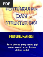 Garis Panduan