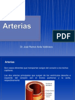 2= Arterias