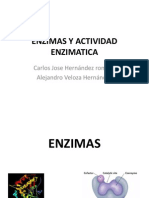 enzimasyactividadenzimatica-130116172941-phpapp01