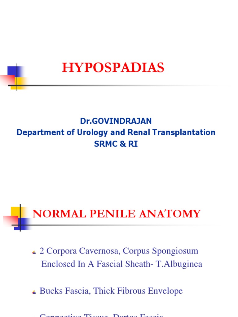 Hypospadias Penis Animal Reproductive System