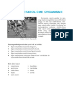 Proses Metabolisme Organisme Materi Kelas 12 Biologi