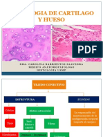 Usmp Histologia de Cartilago y Hueso 1