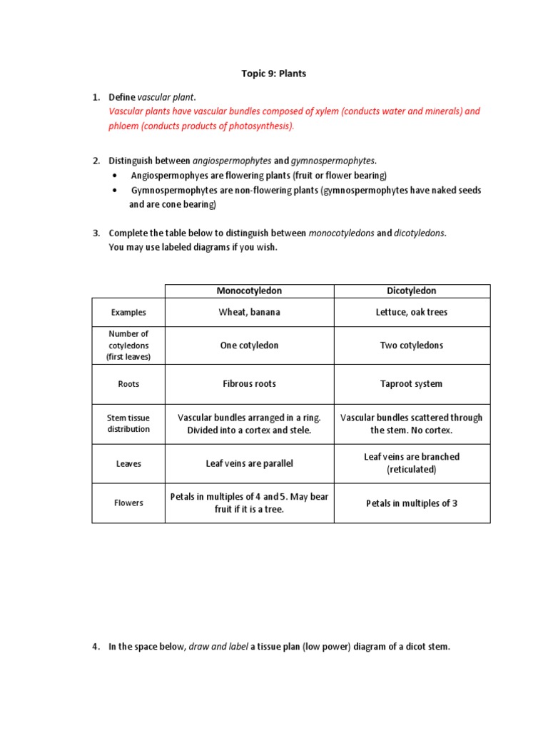 Botany Study Guide | PDF | Plant Stem | Stoma