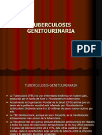Tuberculosis Genitourinaria 2