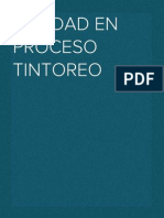 Calidad en Proceso Tintoreo PDF