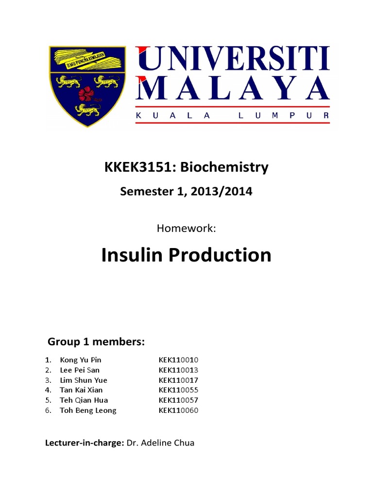 Production of Insulin PDF Insulin Bacteria