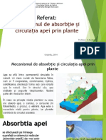 Mecanismul de Absorbție Și Circulația Apei Prin Plante