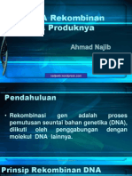 DNA Rekombinan