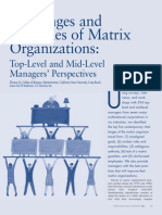 Challenges and Strategies of Matrix organization