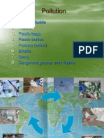 Pollution: Carbon Dioxide Papers Plastic Bags Plastic Bottles Poisons (Water) Smoke Glass Dangerous Gasses and Liquids