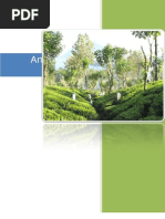 Download Analyzing Tea Import in Pakistan by suleman1982 SN21519423 doc pdf