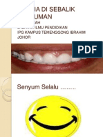 Rahsia Di Sebalik Senyuman