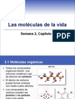 sem2cap3bioquimica-110203095301-phpapp02