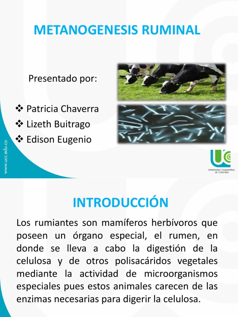 METANOGENESIS RUMINAL PPT | Rumiante | Digestión