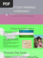 cotton farming in uzbekistan