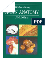 A Colour Atlas of Avian Anatomy - J. McLelland