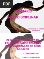 SEMINÁRIO INTERDISCIPLINAR CLIMATERIO 2013