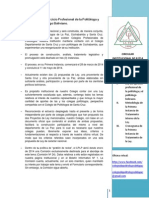 CDPLP-Circular Institucional #2 de La Primera Instancia de Tratamiento de La Ley Del Politólogo Boliviano-27.03.14