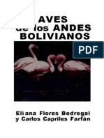 Aves de Los Andes Bolivianos
