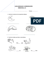 Prueba Bimestral Lenguaje1ero