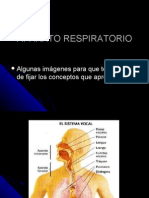 APARATO RESPIRATORIO