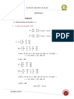 PARTE 2 Matrices II