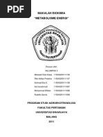 Download Metabolisme Energi Makalah by Ricko Aditya Pratama SN215270874 doc pdf