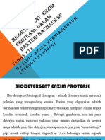 Biodetergent Enzim Protease