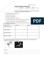 PRUEBA DE CIENCIAS NATURALES 5º