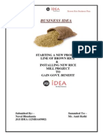 Brown Rice Business Plan Summary