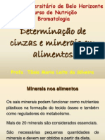 Determinacao de Cinzas e Minerais em