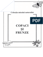 Copaci Si Frunze