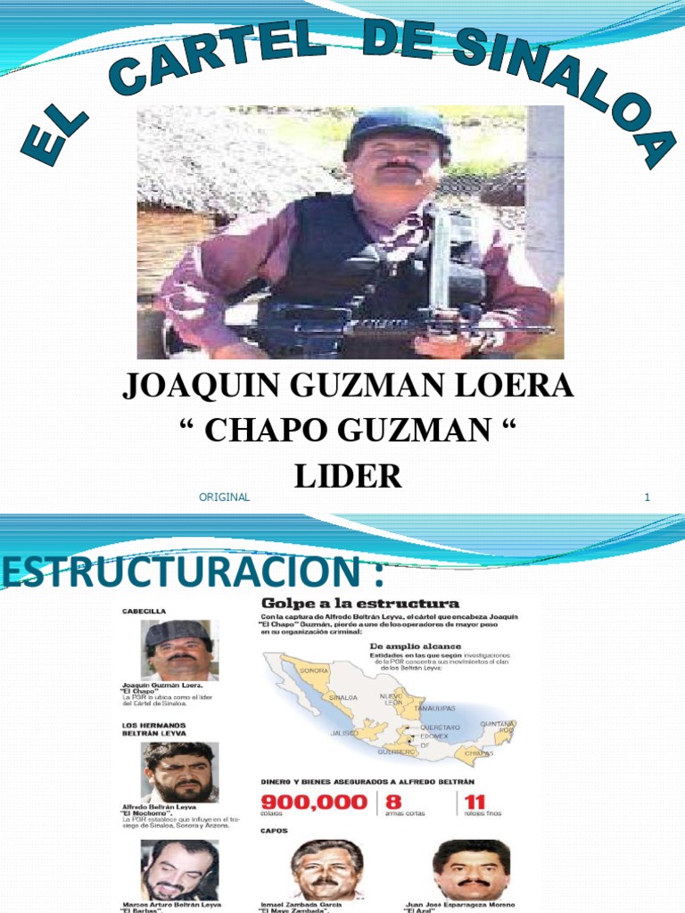 Estructura y Poder del Cartel de Sinaloa | PDF | Crimen organizado ...