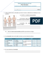 Ficha 1 PDF