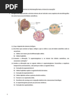 EXERCÍCIOS_SISTEMA _REPRODUTOR_12ºANO