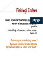 08 - Sistem Indera - 2013 PDF