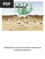 Aula Nutrição Mineral - Cópia