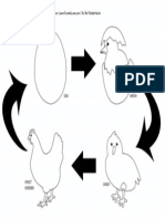 Chickenlifecycle Lines