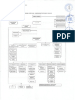 Organigrama Funcional PDF