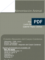 Alimentación Animal