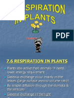 71-6-respirationinplants-120601180309-phpapp01