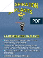 71 6 Respirationinplants 120601180309 Phpapp01