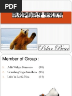 Download Polar Bear Report Text by Adeb Wahyu SN215389314 doc pdf